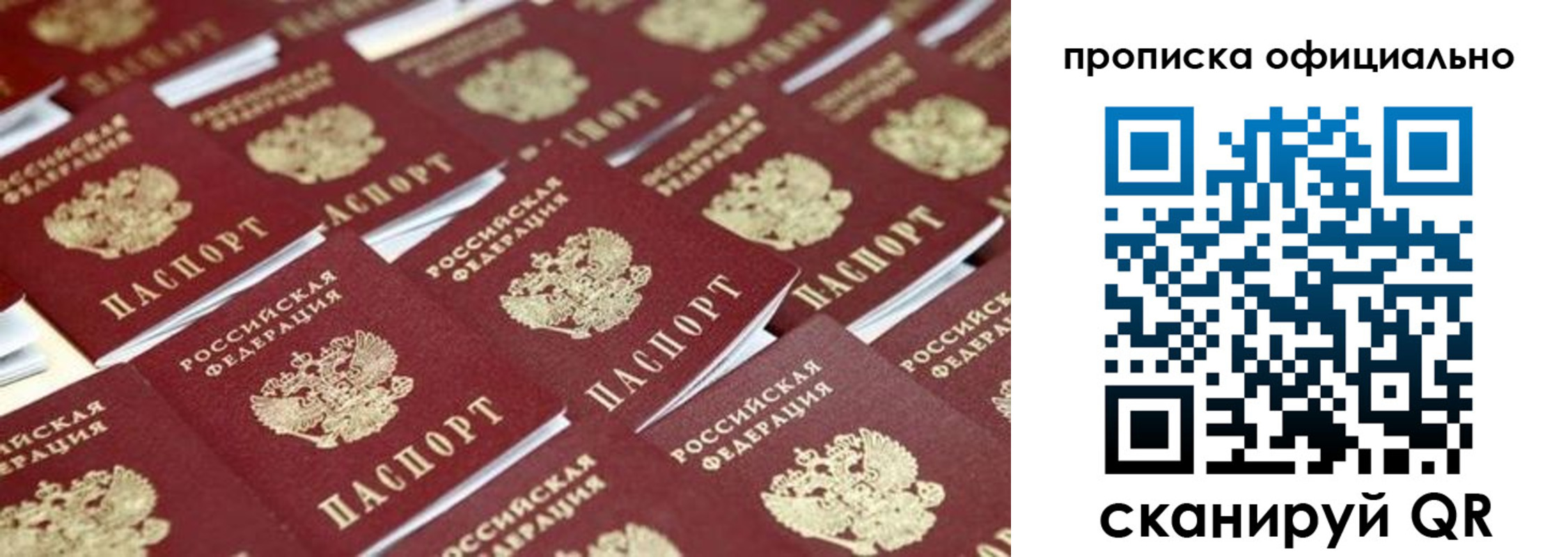 прописка гарантия в Холмске